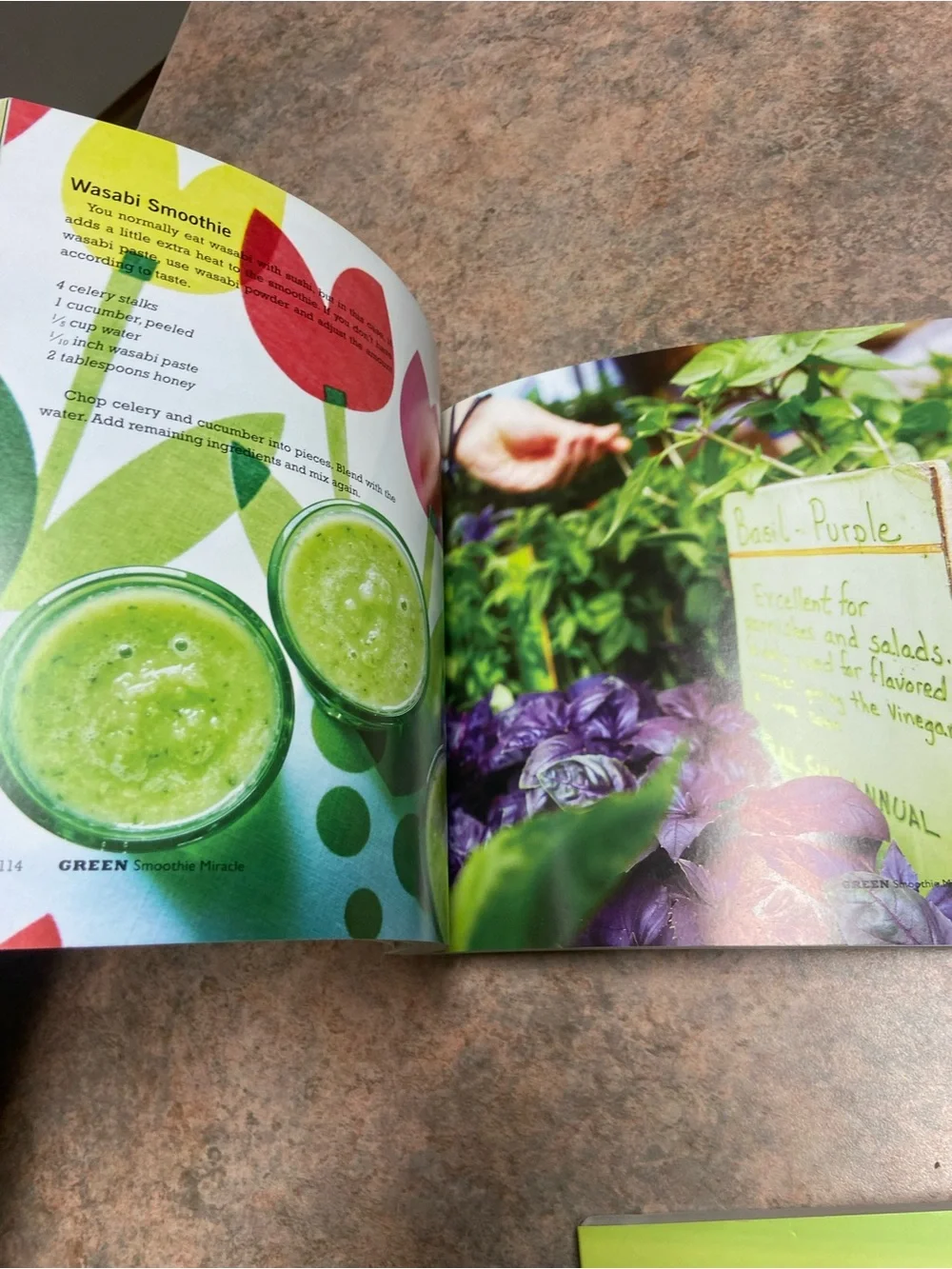 Smoothie Cookbook lot